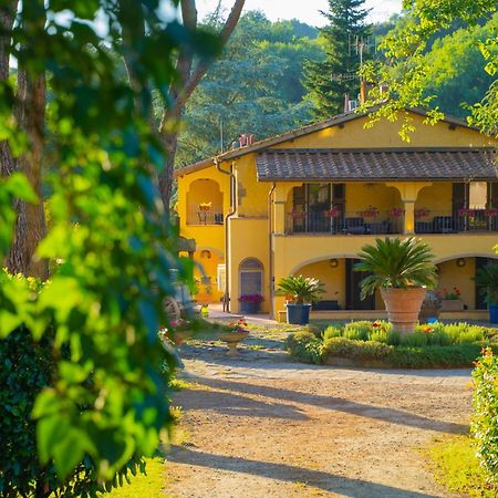 Villa Poggio Di Gaville Meleto Екстер'єр фото
